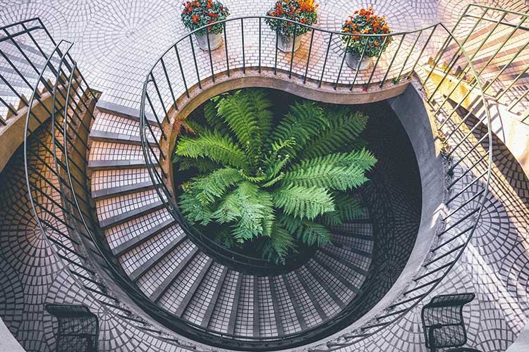 Kitchen Interior Design